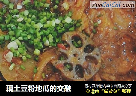 藕土豆粉地瓜的交融