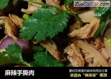 麻辣手撕肉