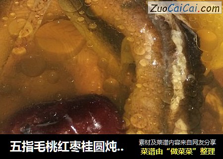 五指毛桃红枣桂圆炖黄蟮汤