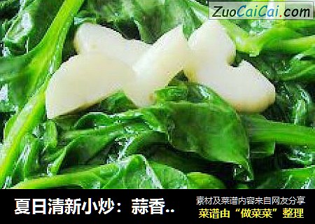 夏日清新小炒：蒜香木耳菜