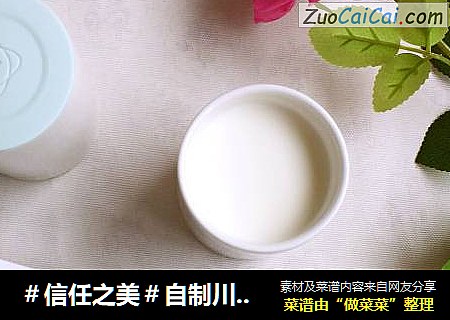 自制川秀儿童菌酸奶