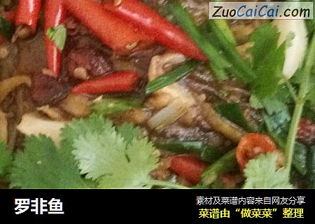 罗非鱼
