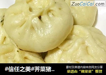 荠菜猪肉蒸包