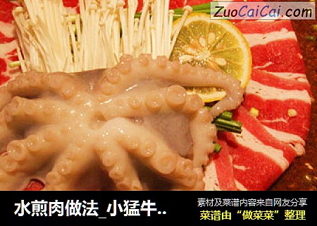水煎肉做法_小猛牛章鱼水煎肉