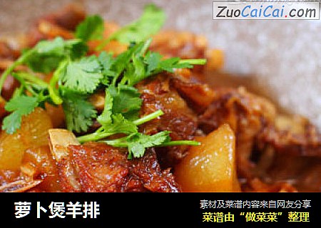 萝卜煲羊排