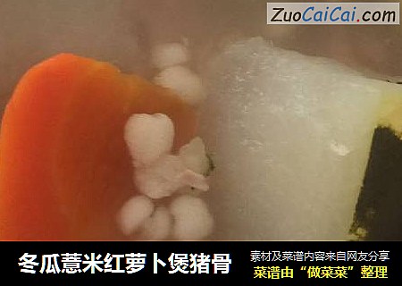 冬瓜薏米红萝卜煲猪骨