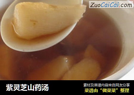紫灵芝山药汤