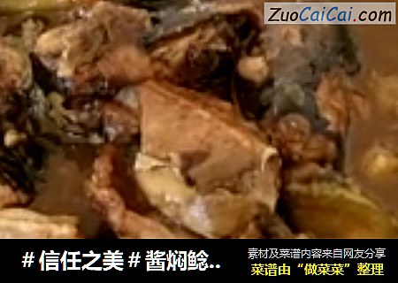 酱焖鲶鱼茄子