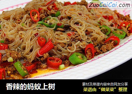 香辣的蚂蚁上树