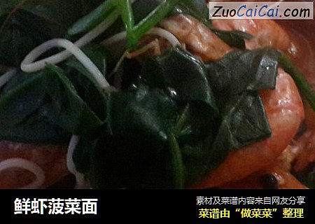 鲜虾菠菜面