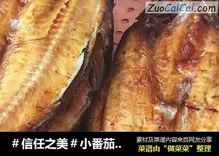 小番茄醉炉烤鱼