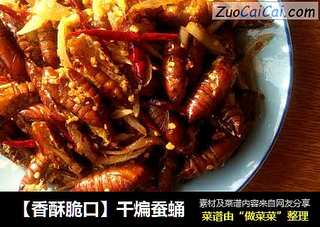 【香酥脆口】干煸蚕蛹