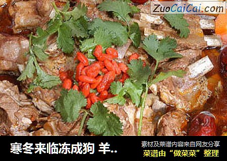 寒冬来临冻成狗 羊排火锅正当时