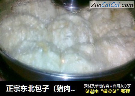 正宗东北包子（猪肉大葱味）