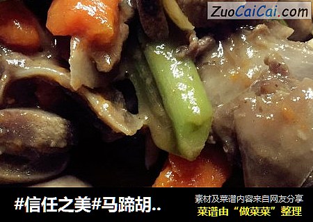 马蹄胡萝卜炖羊排#肉肉厨