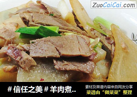 羊肉煮萝卜 