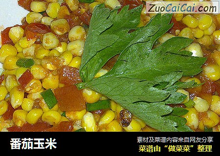 番茄玉米