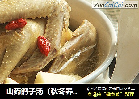 山药鸽子汤（秋冬养生）