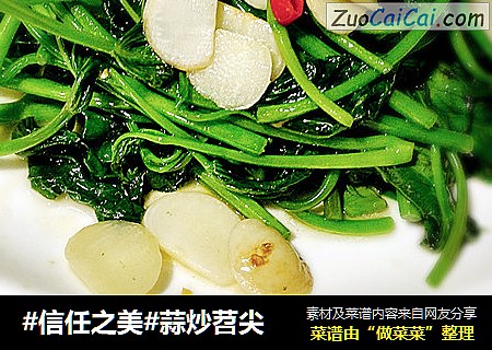 蒜炒苕尖
