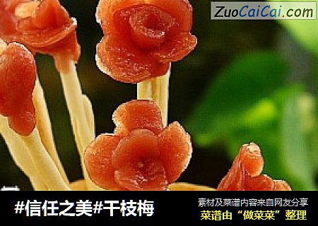 干枝梅