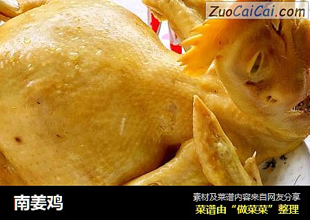 南姜鸡