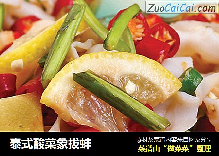 泰式酸菜象拔蚌