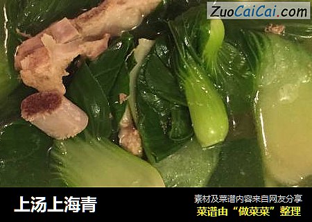 上汤上海青