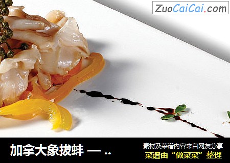 加拿大象拔蚌 — 花椒象拔蚌