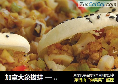加拿大象拔蚌 — 生炒象拔蚌崧伴中东芝麻饱