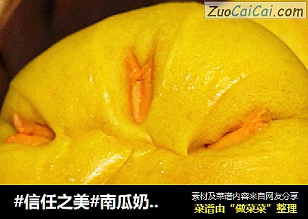 南瓜奶酪养生包