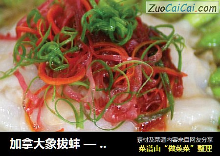 加拿大象拔蚌 — 热烩双脆