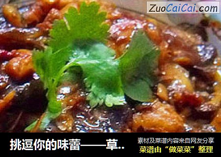 挑逗你的味蕾——草鱼烧茄子
