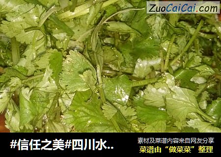 四川水煮鱼