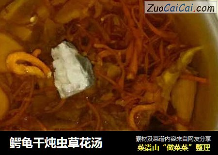 鳄龟干炖虫草花汤