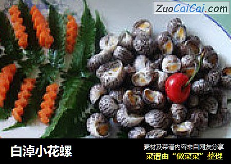 白淖小花螺