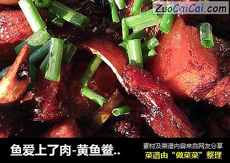 鱼爱上了肉-黄鱼鲞烧肉