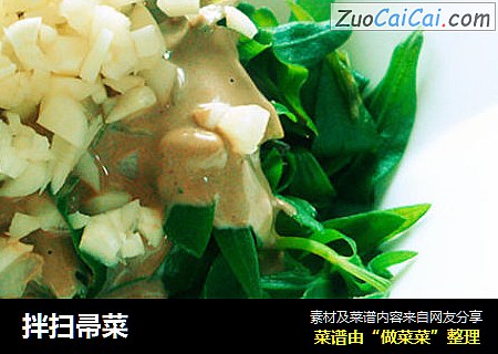拌扫帚菜