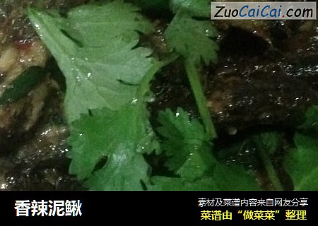 香辣泥鳅