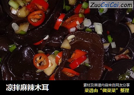 凉拌麻辣木耳