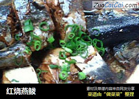 红烧燕鲅