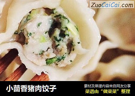 小茴香猪肉饺子