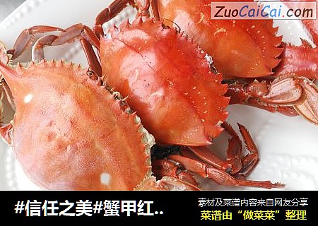 蟹甲红PK梭子蟹