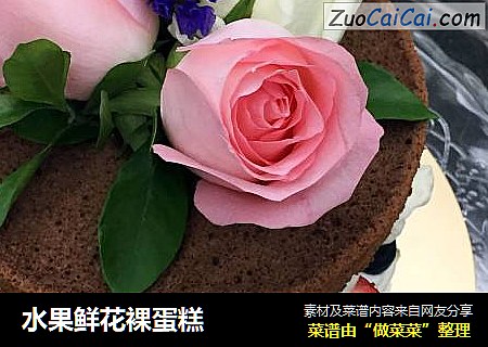 水果鲜花裸蛋糕
