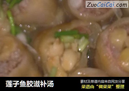 莲子鱼胶滋补汤