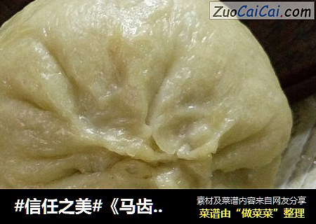 《马齿苋白菜大肉包子》地瓜面皮，马齿苋白菜肉包子