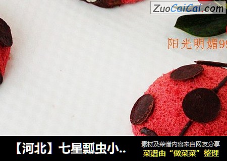 【河北】七星瓢虫小蛋糕（创意卡通戚风版）