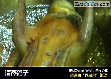 清蒸鸽子