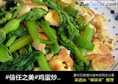 鸡蛋炒南瓜尖儿