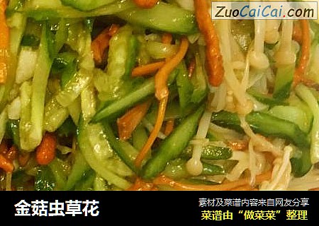 金菇虫草花