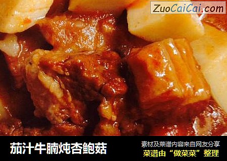茄汁牛腩炖杏鲍菇